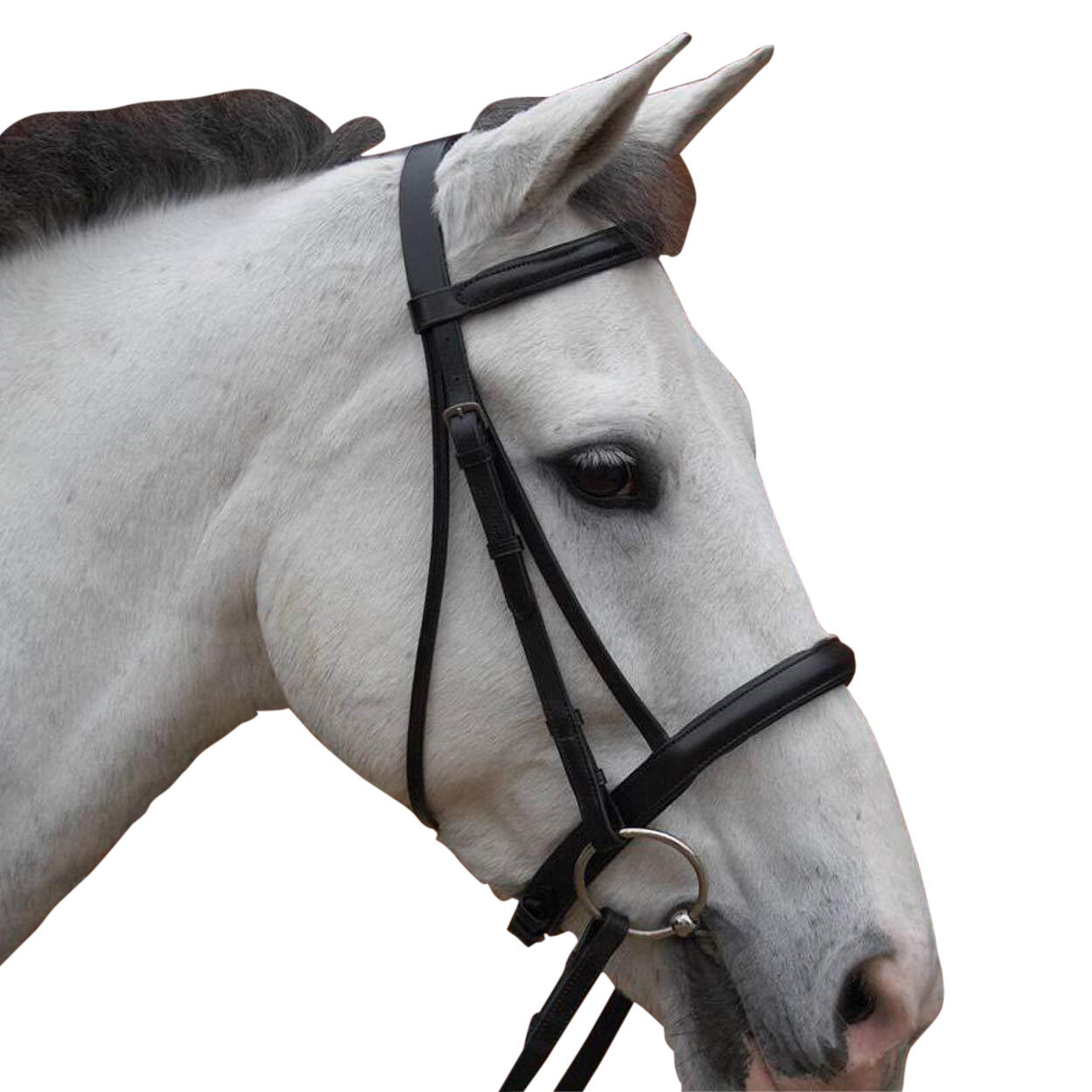 Padded Cavesson Bridle with Rubber Grip Reins (Black) 3/3