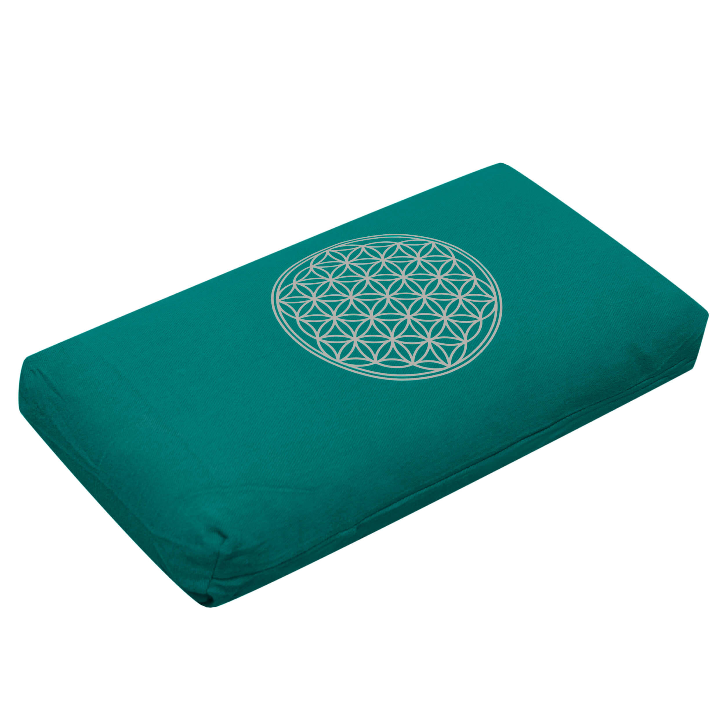 YOGISTAR picture