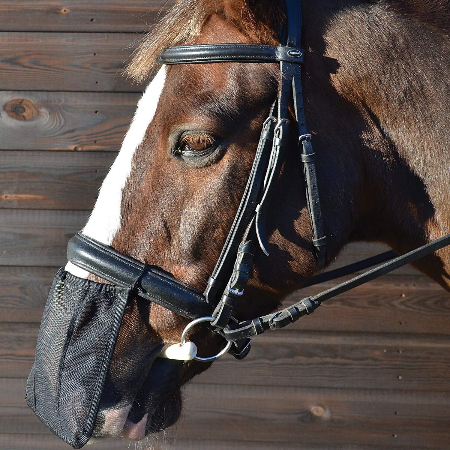 Nose Shield (Black) 2/2
