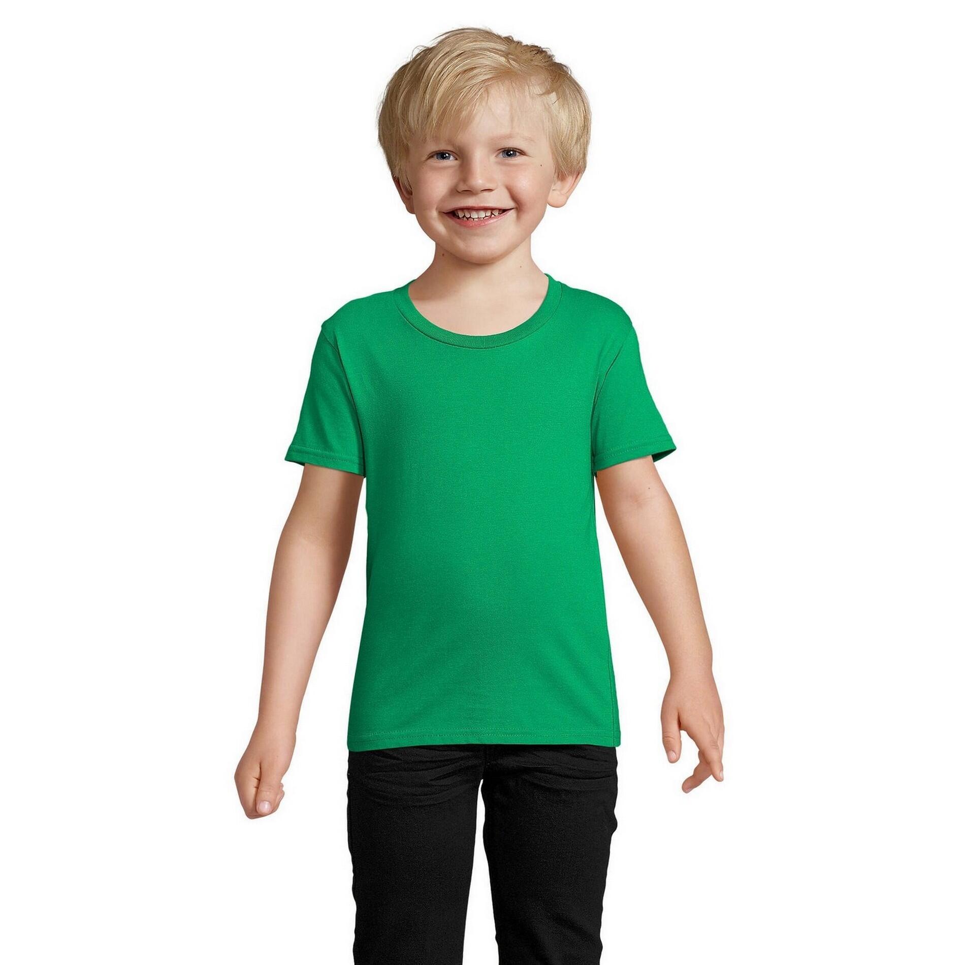 verde / verde azzurro