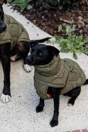 Hundemantel Kentucky Pina