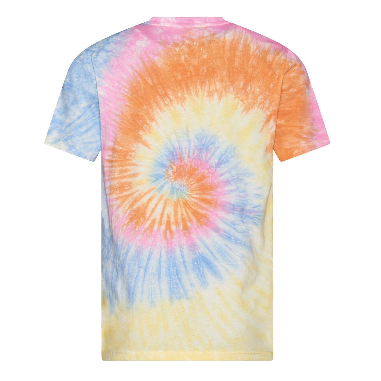 Tshirt Adulte (Multicolore) 3/3