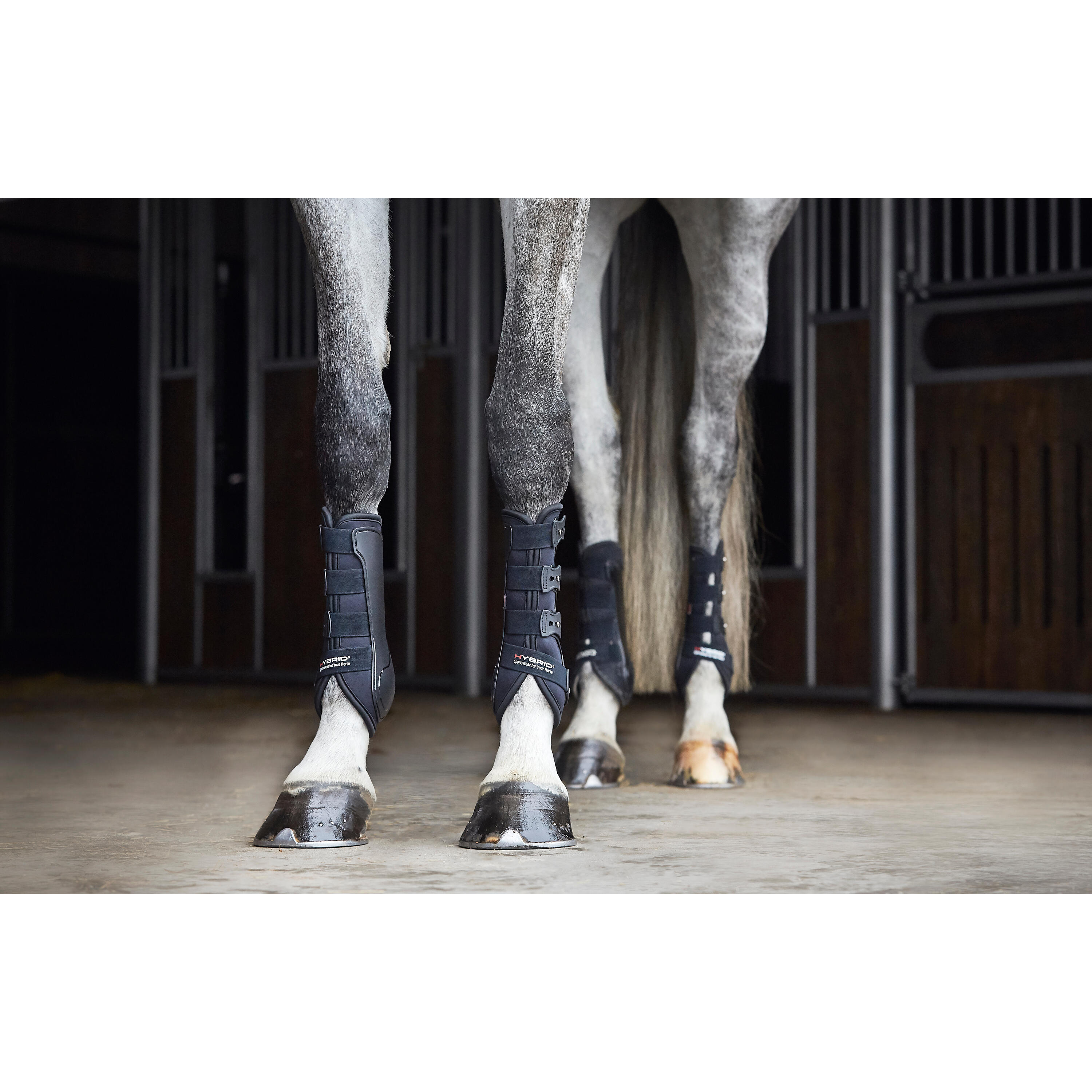 Protectores para caballo Catago Hybrid 4/4