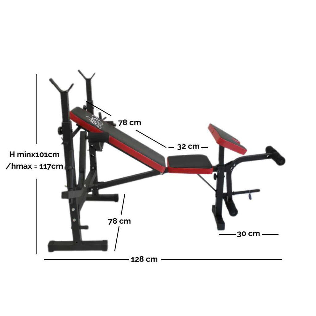 Banc de Musculation Multifonction Station de Dips avec Barre de 180 cm FF 2/7