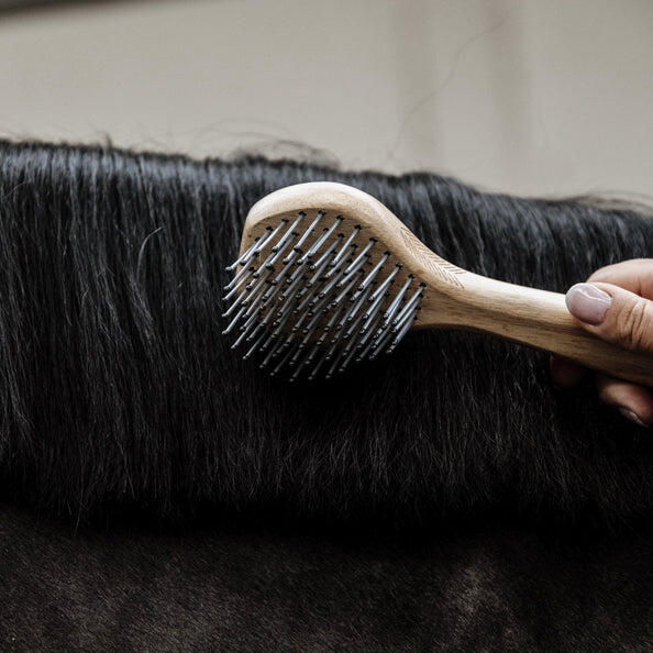 Horse hair brush Kentucky