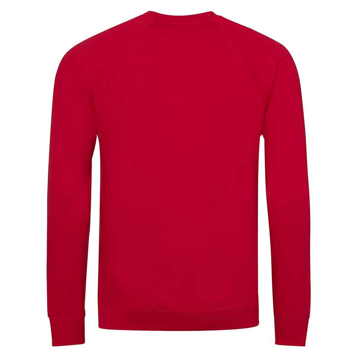 Childrens/Kids Academy Raglan Sweatshirt (Red) 2/2