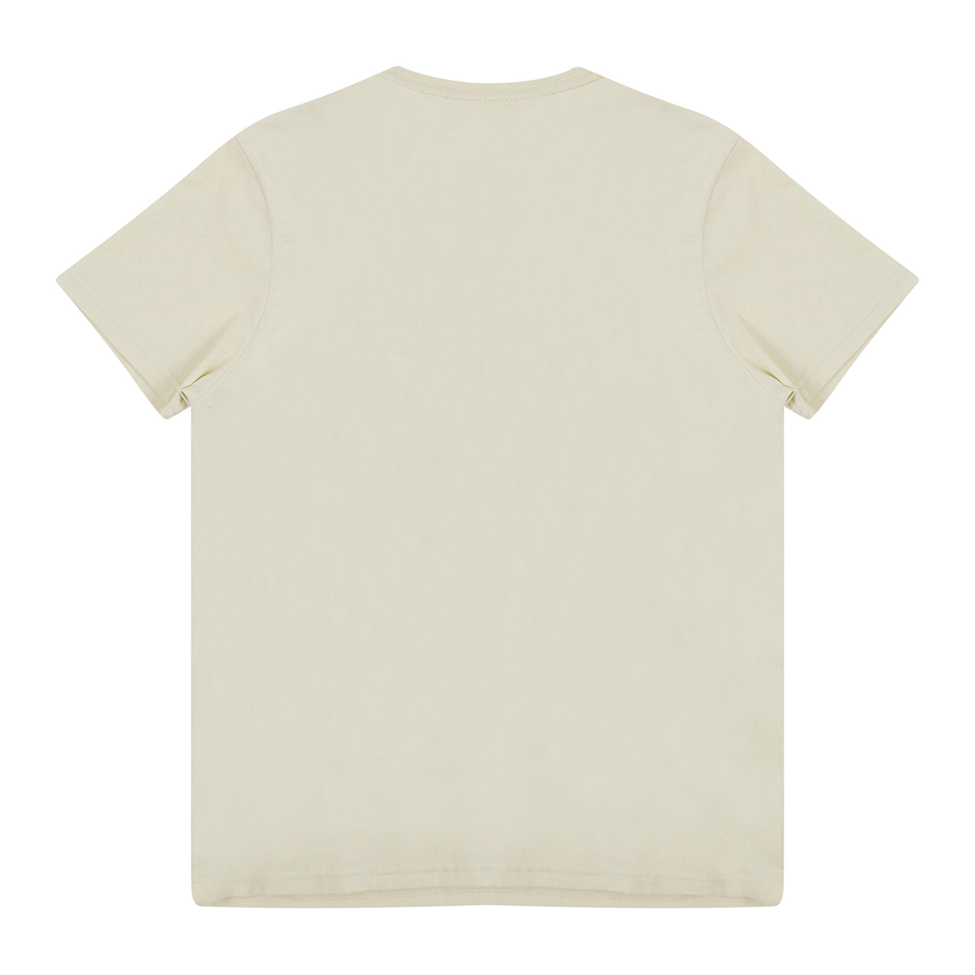 Tshirt Uni Manches Courtes GENERATION Adulte (Gris Pâle) 3/3