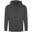 Veste À Capuche Homme (Gris Acier)