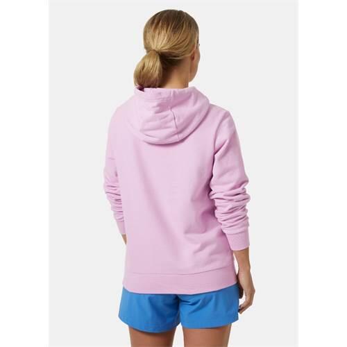 Bluza sportowa damska Helly Hansen Hh Logo 2.0 4/5