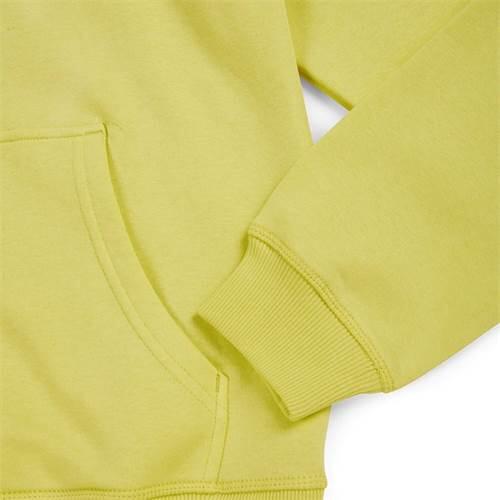 Bluza sportowa męska Fila Classic Pure Hoodie 3/5