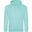 Sweat À Capuche COLLEGE Adulte (Bleu Menthe)
