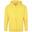Veste À Capuche Homme (Jaune)