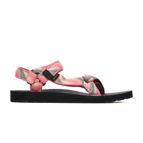 TEVA picture