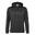 Sweat À Capuche Adulte (Gris Acier)