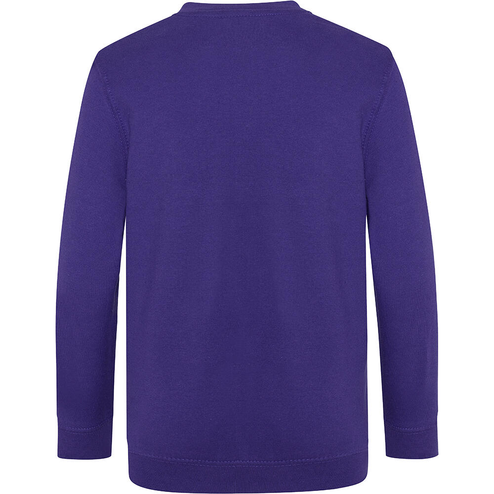 Academy Junior Schul Sweatshirt mit VAusschnitt Kinder Violett 2/2