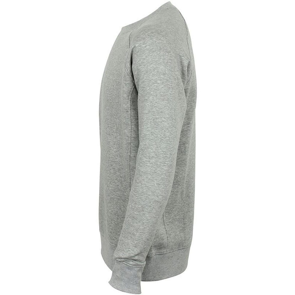 Sweat Adulte Unisexe (Gris) 3/4