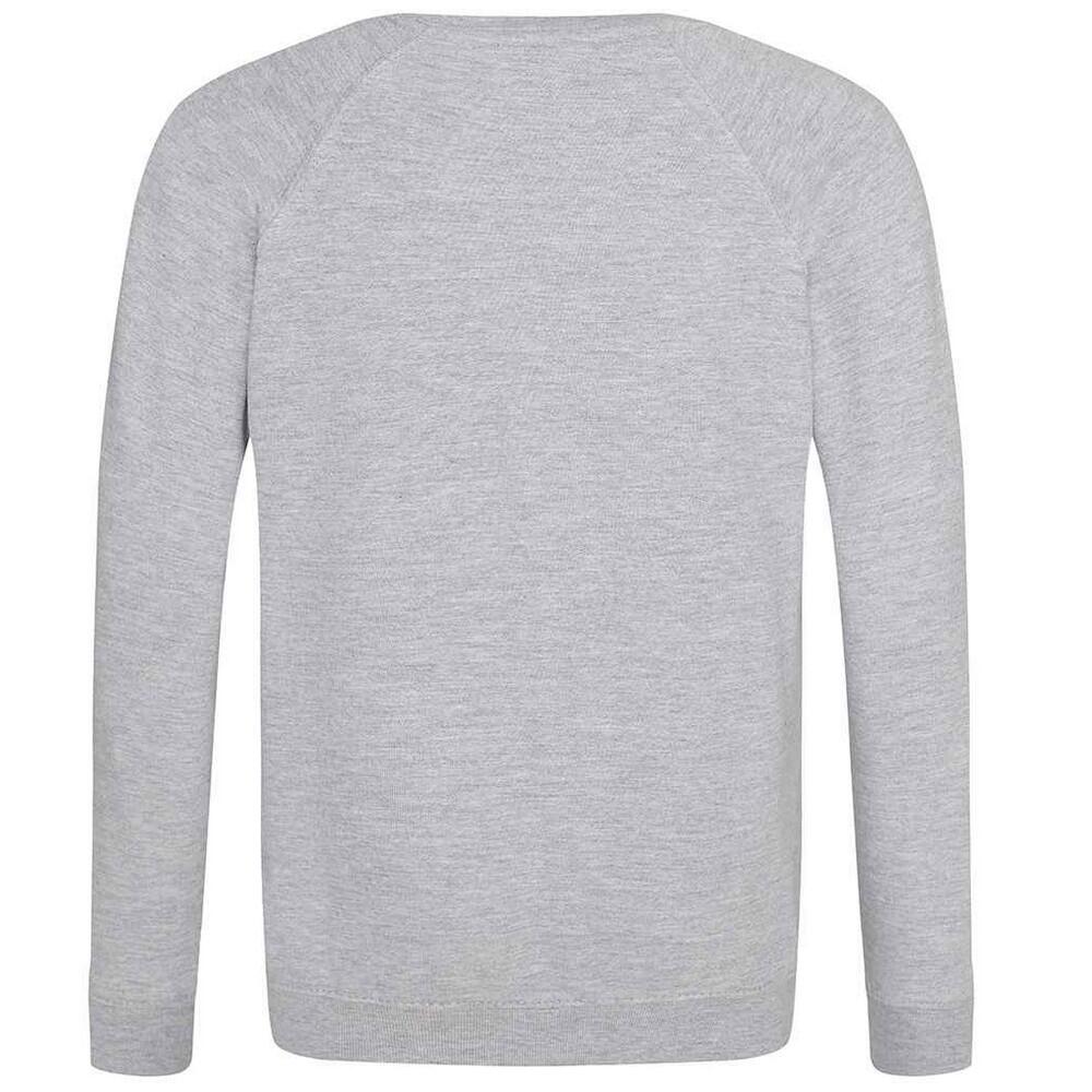 Childrens/Kids Academy Raglan Sweatshirt (Grey) 2/2