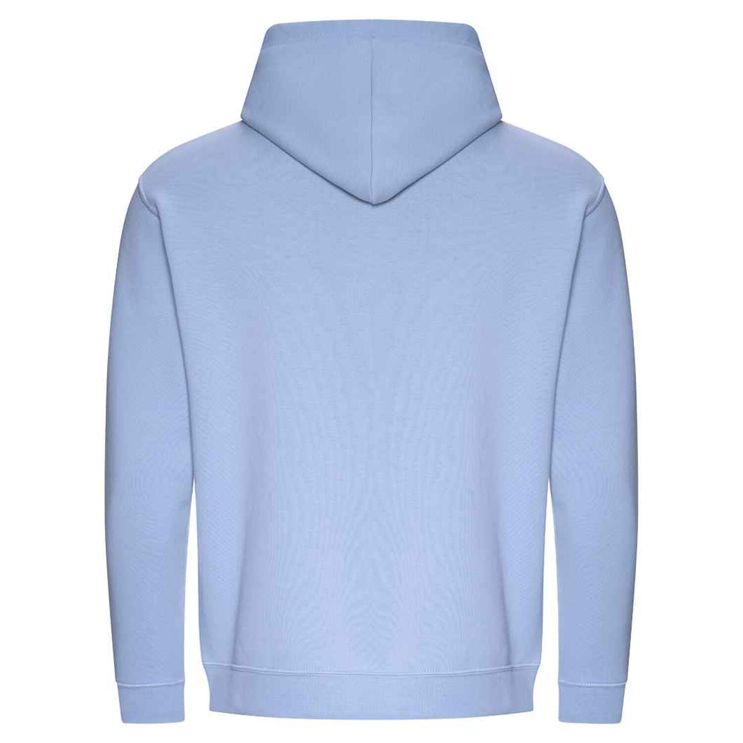 Womens/Ladies Cotton Hoodie (Sky Blue) 2/2