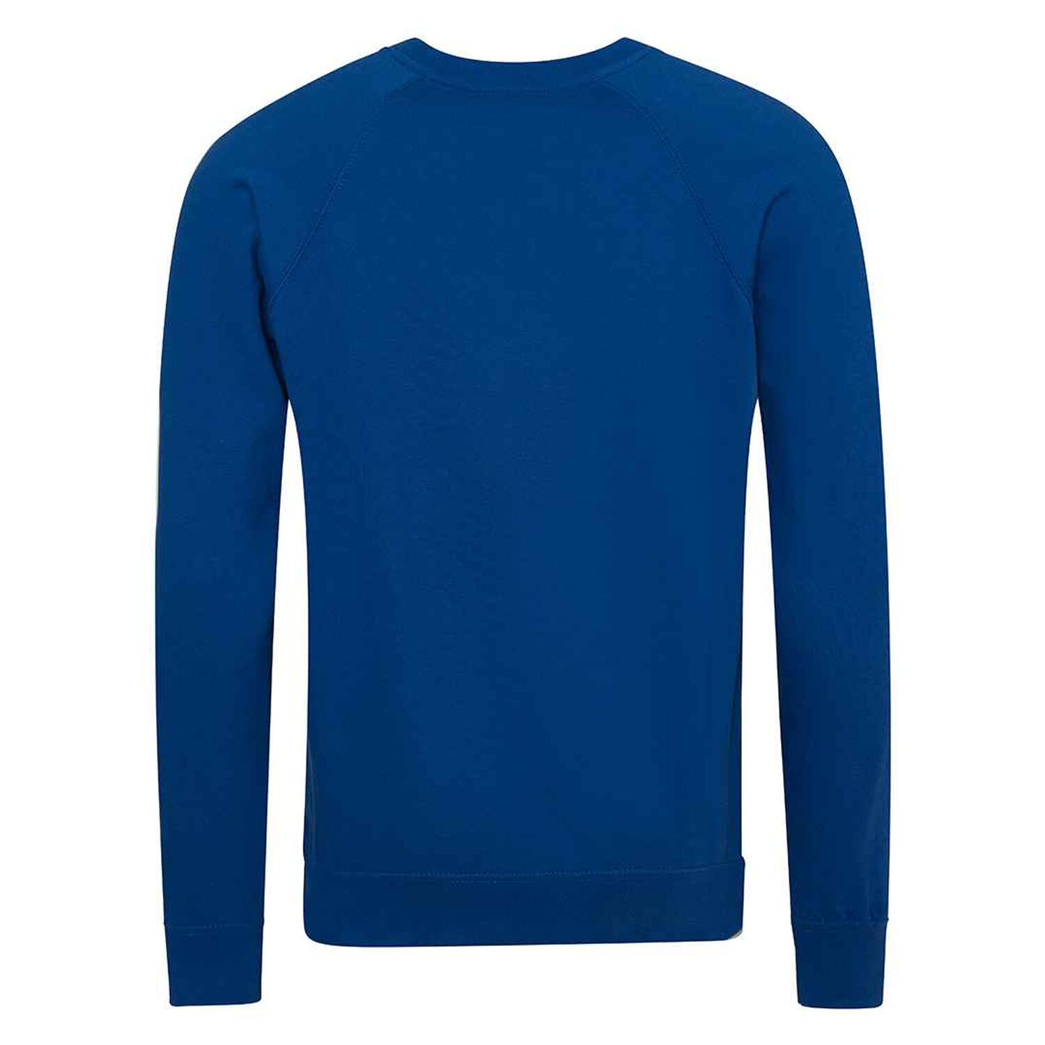 Felpa Raglan Bambini Awdis Academy Blu Reale 2/2