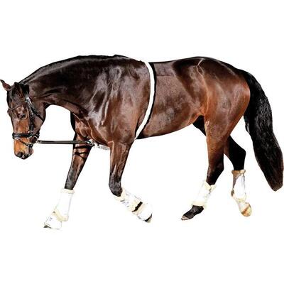 Lunghina cavallo HorseGuard Soft Aid