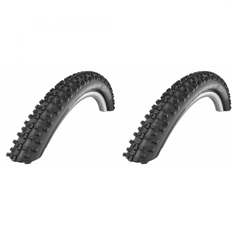 SCHWALBE picture