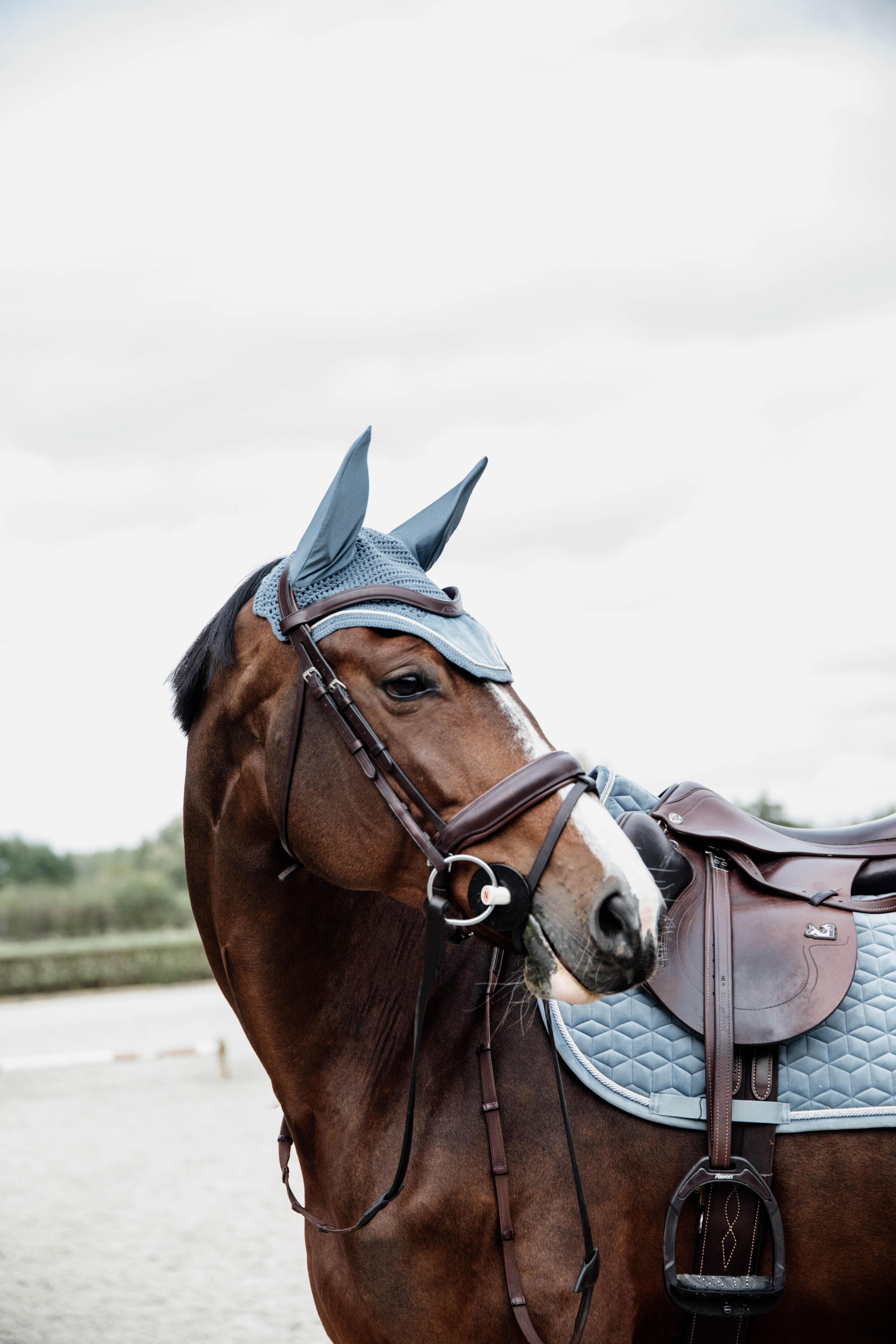 Boné de cavalo Kentucky Wellington Velvet 3/3