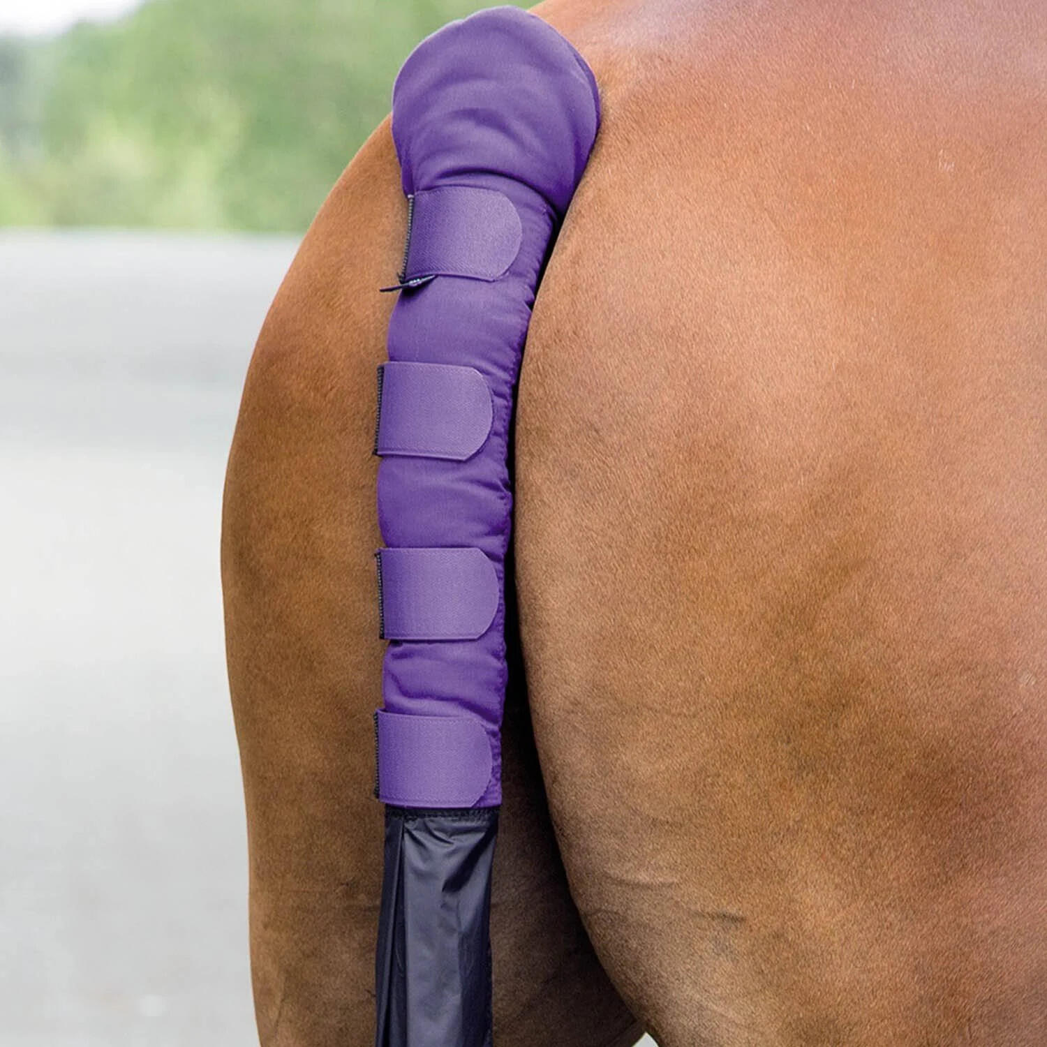 Protègequeue Avec Sac Pour Chevaux (Violet) 3/3