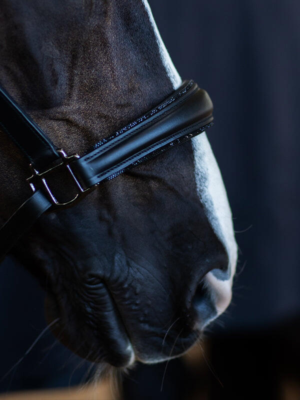 Licol en cuir anatomique Black Edition - EQUESTRIAN STOCKHOLM 4/5
