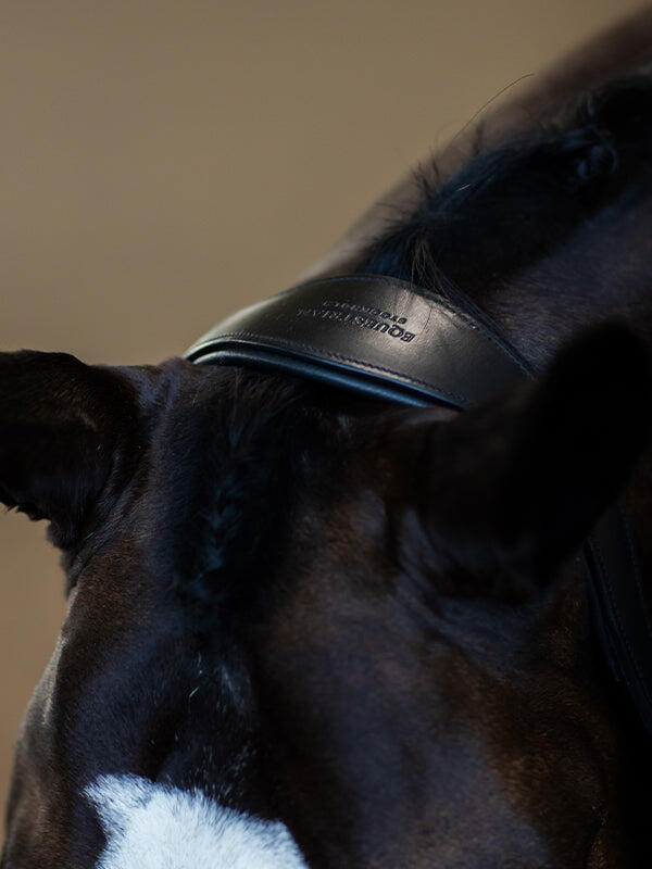 Licol en cuir anatomique Black Edition - EQUESTRIAN STOCKHOLM 3/5