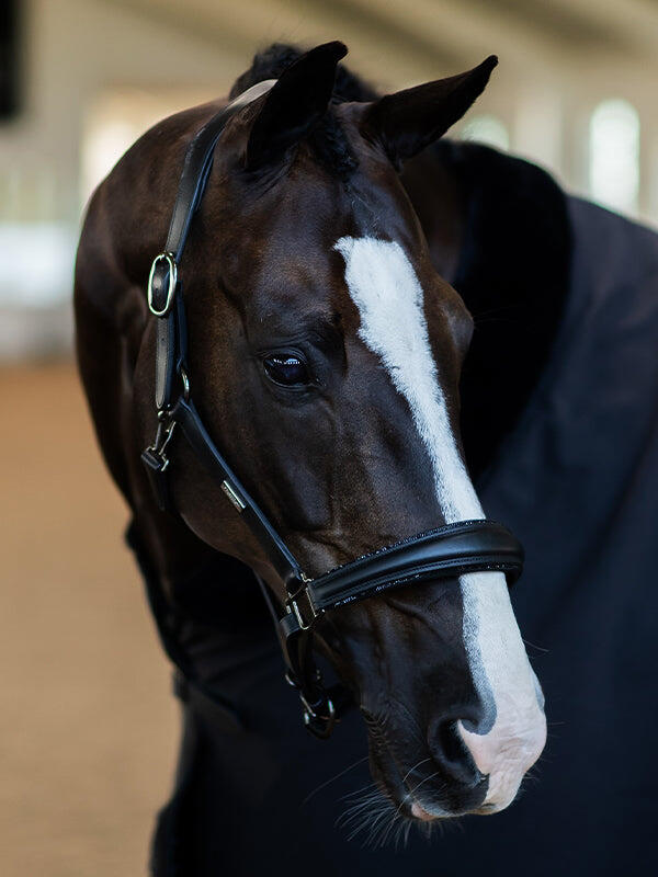 EQUESTRIAN STOCKHOLM picture