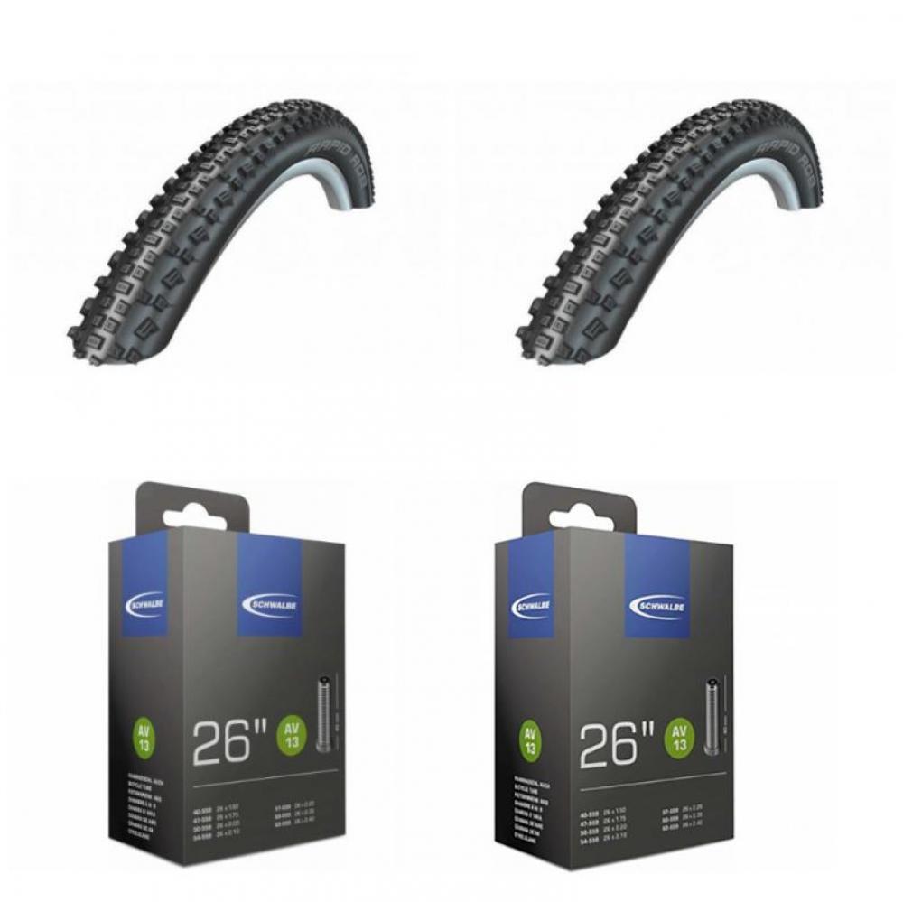 SCHWALBE picture