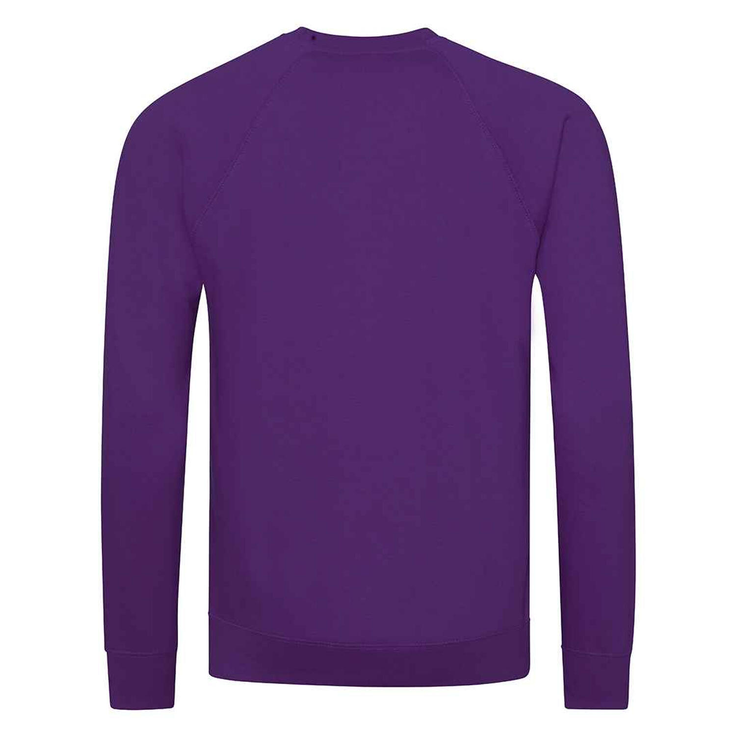 Felpa Raglan Bambini Awdis Academy Viola 2/2
