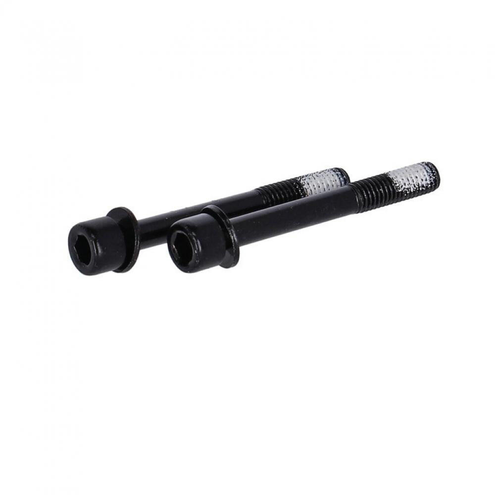 TRP Flat Mount Schrauben 42mm 2/2
