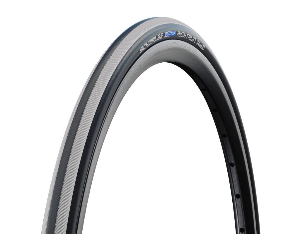 SCHWALBE picture