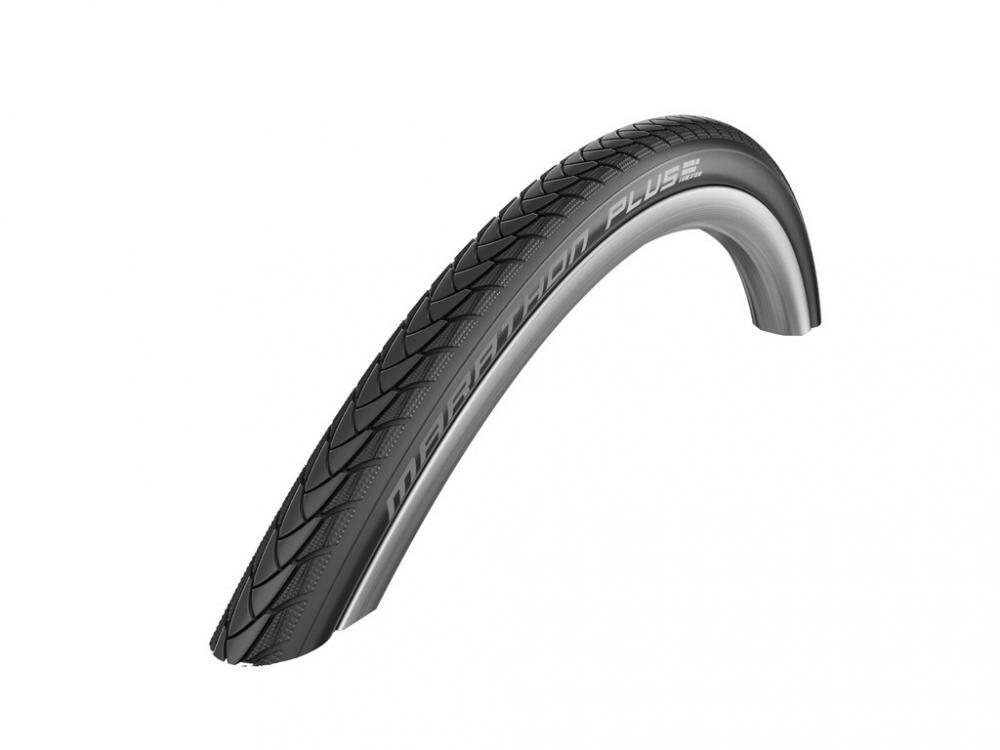 SCHWALBE picture