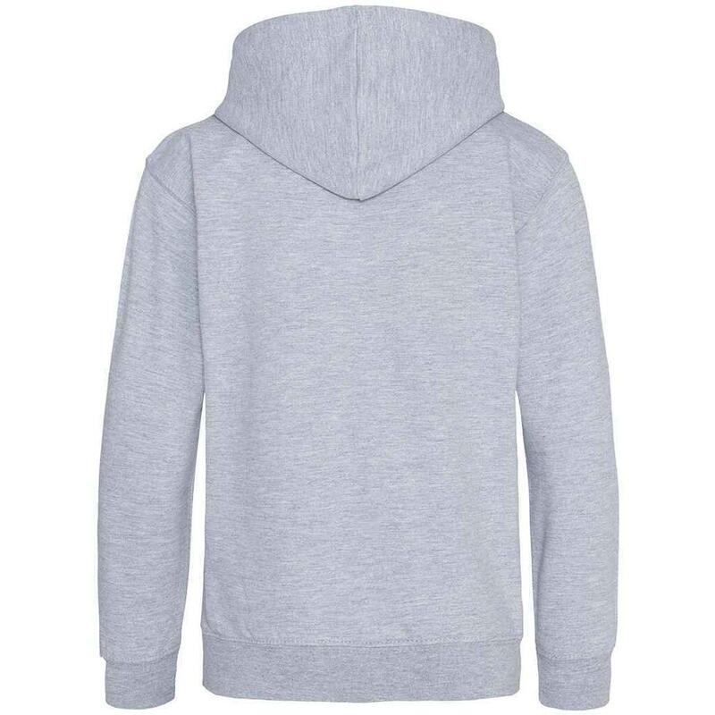 Sweat À Capuche Enfant (Gris)