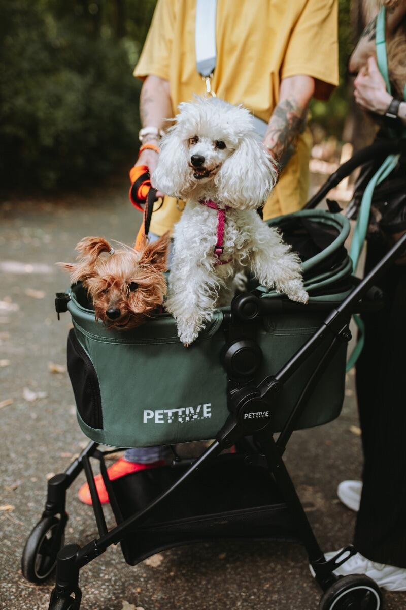 Poussette 3-en-1 pour chien ou chat S.RIDER verte jusqu'à 20 kg 2/7