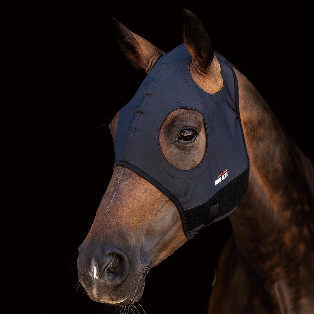 Masque TITANIUM - LAMICELL 2/2