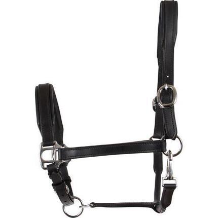 Licol pour cheval en cuir HorseGuard