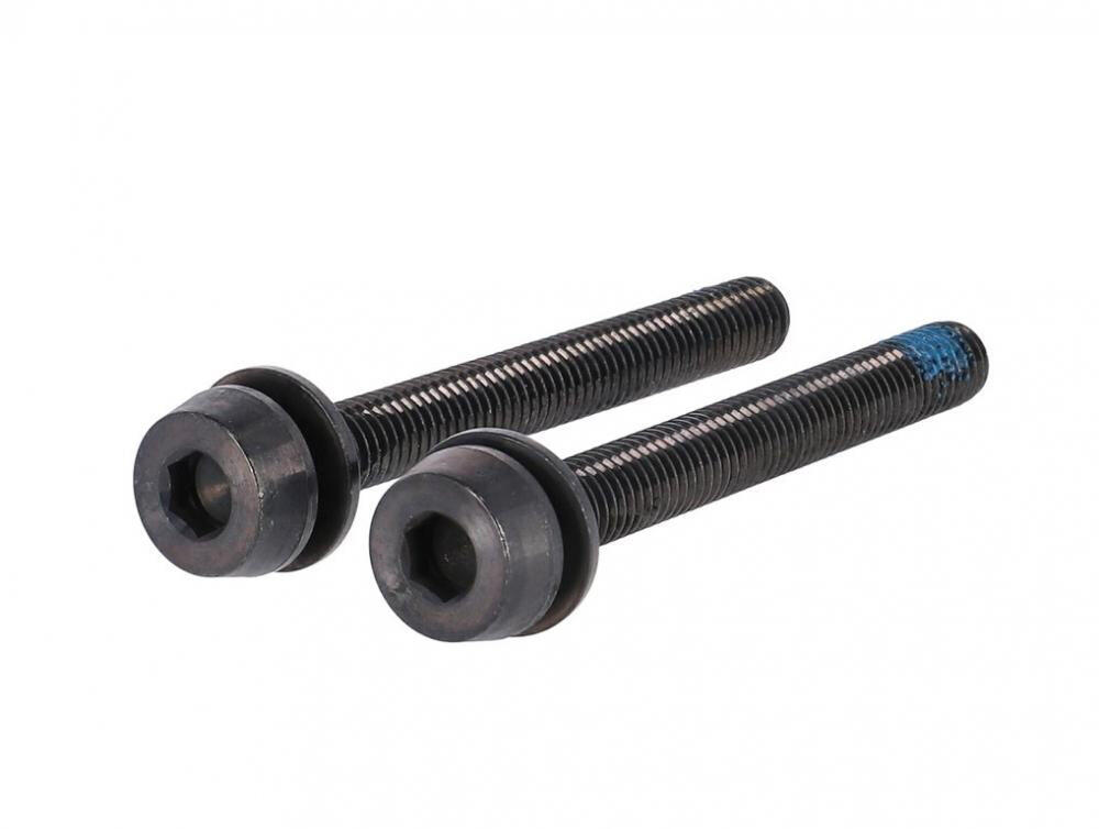 Campagnolo schroeven H11 (schijfrem) AC18-DBSC44,2x44mm voor 35-39mm achter 2/2
