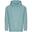 Sweat À Capuche COLLEGE Adulte (Turquoise)