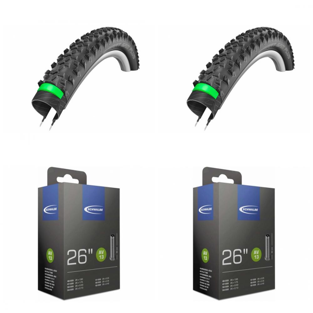 SCHWALBE picture