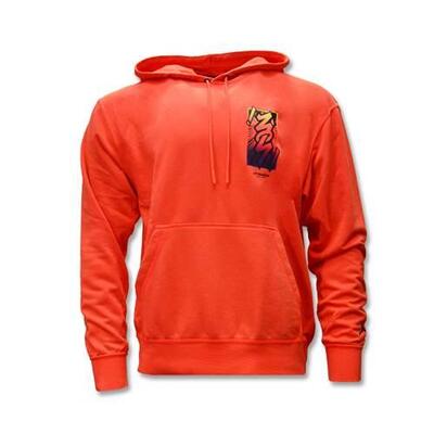 Nike air jordan zion dri-fit performance fleece hoodie