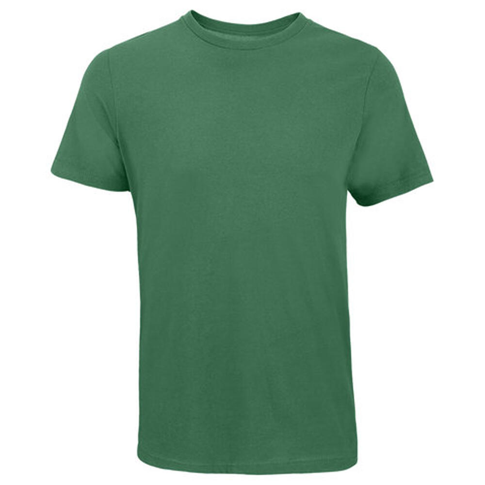verde / verde elettrico