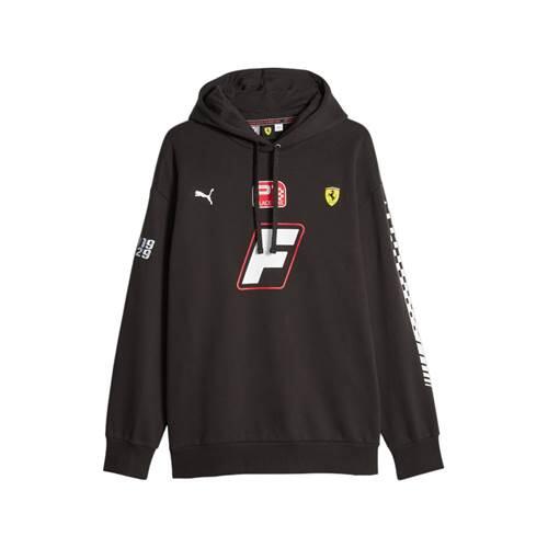 PUMA picture