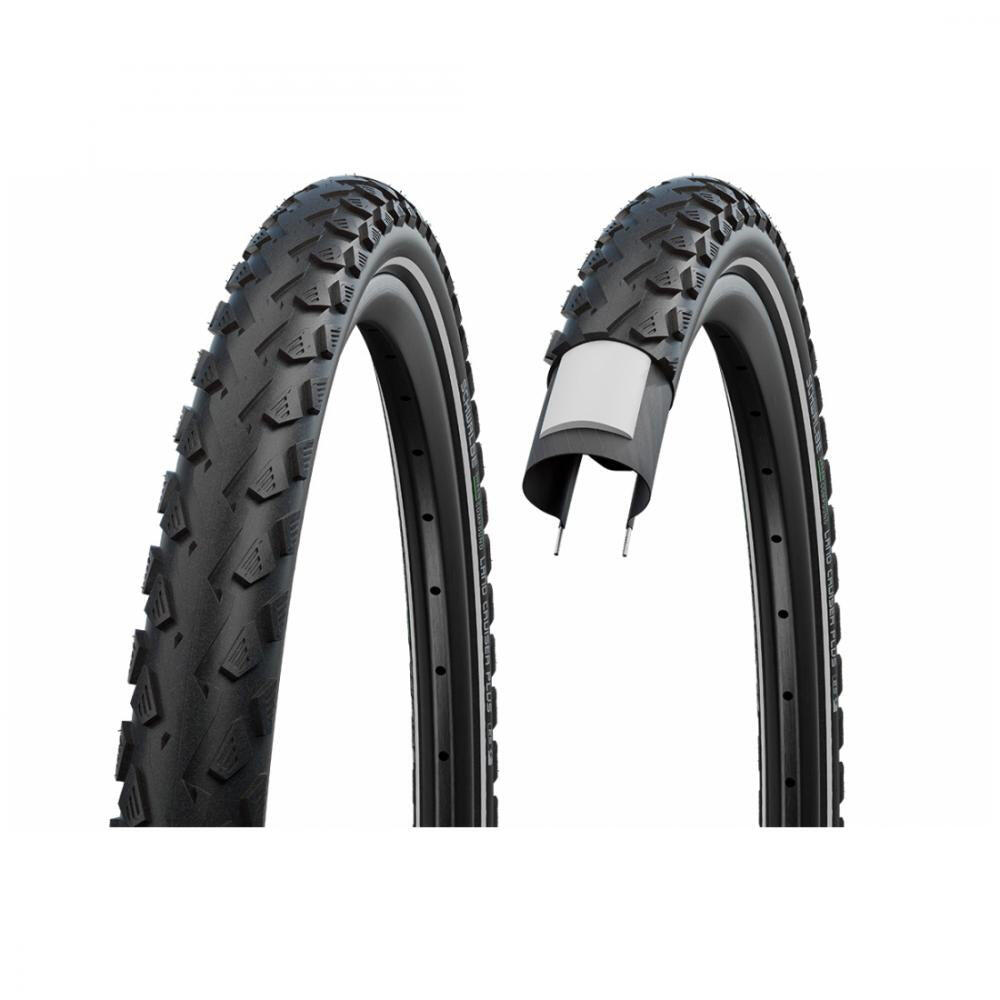 SCHWALBE picture