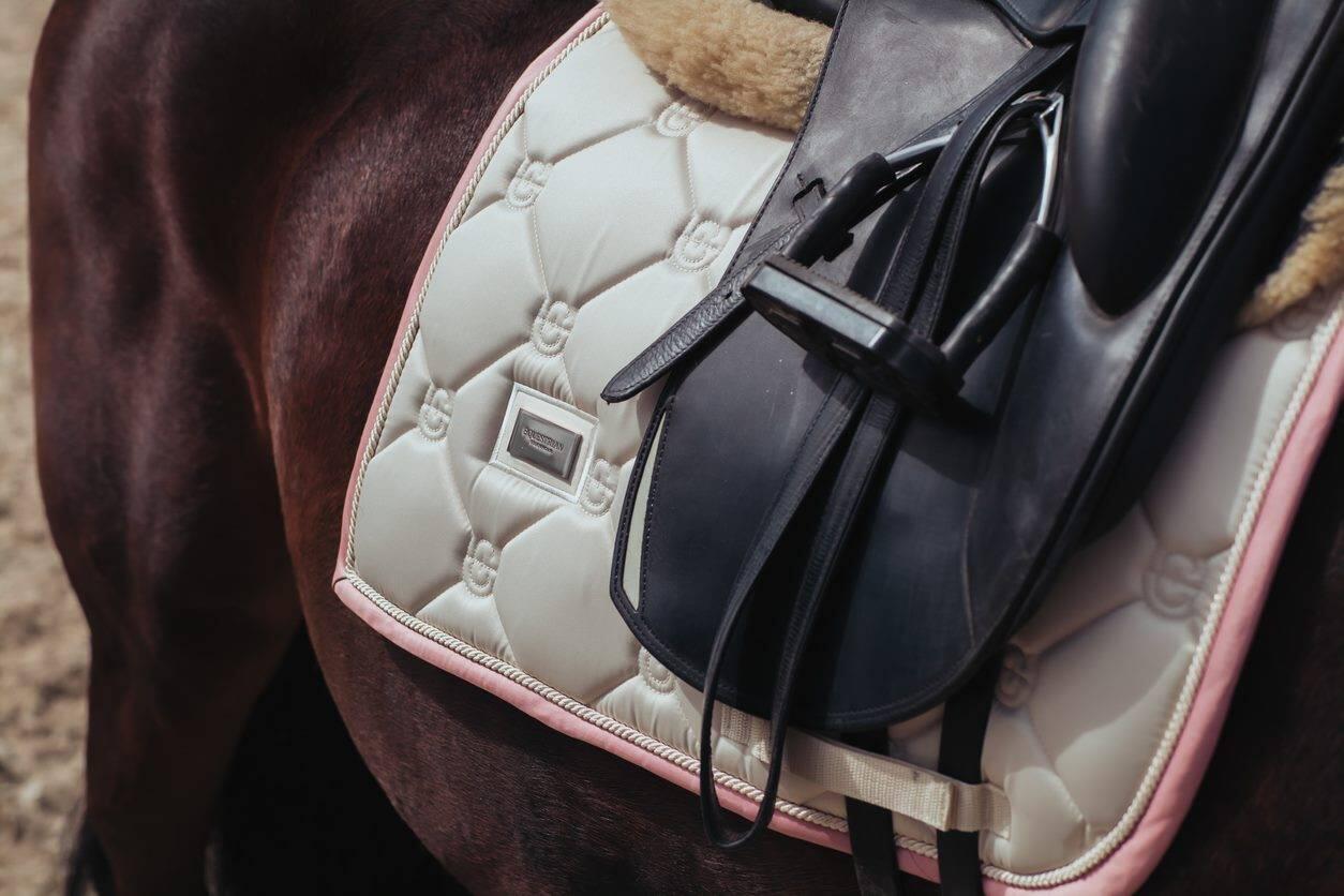 EQUESTRIAN STOCKHOLM picture