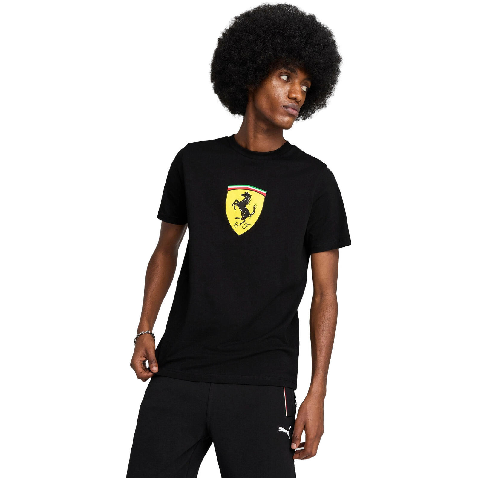 PUMA picture