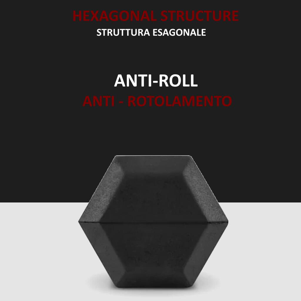 1 Haltère de 5 kg de Sport Hexagonal FF 4/7