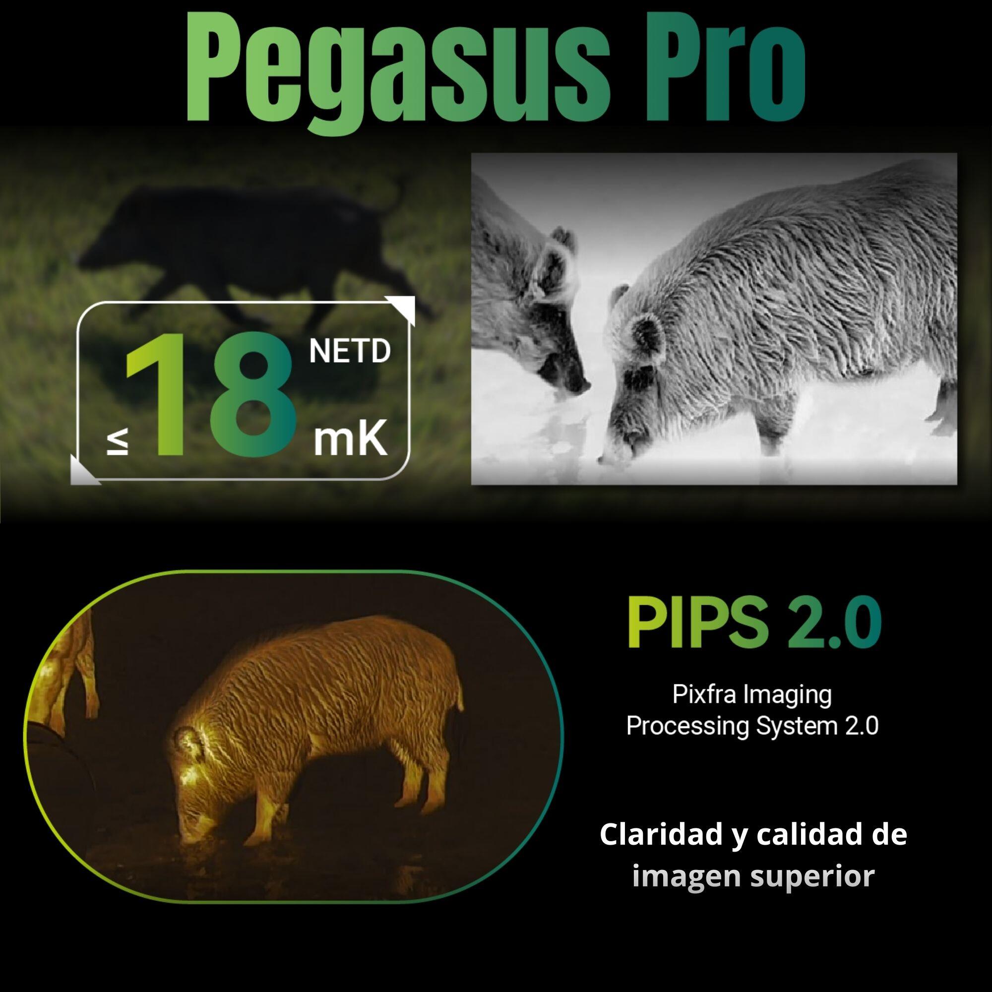 Visor Térmico Pegasus Pro 50 mm P450P <18 mK PIXFRA 2600 m OLED de 1440 x 1080 2/7